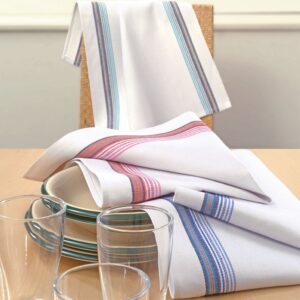 Strofinaccio Rinfranto