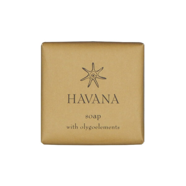 Linea cortesia Havan Saponetta 20 gr - immagine 1
