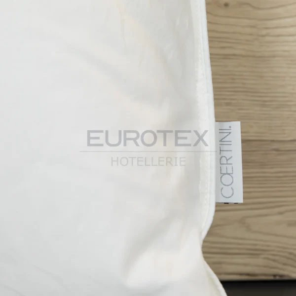 Guanciale Vernazza, basso e rigido - immagine 4