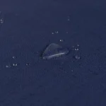 Runner tavola antimacchia ELITE blu 45×130 - immagine 4