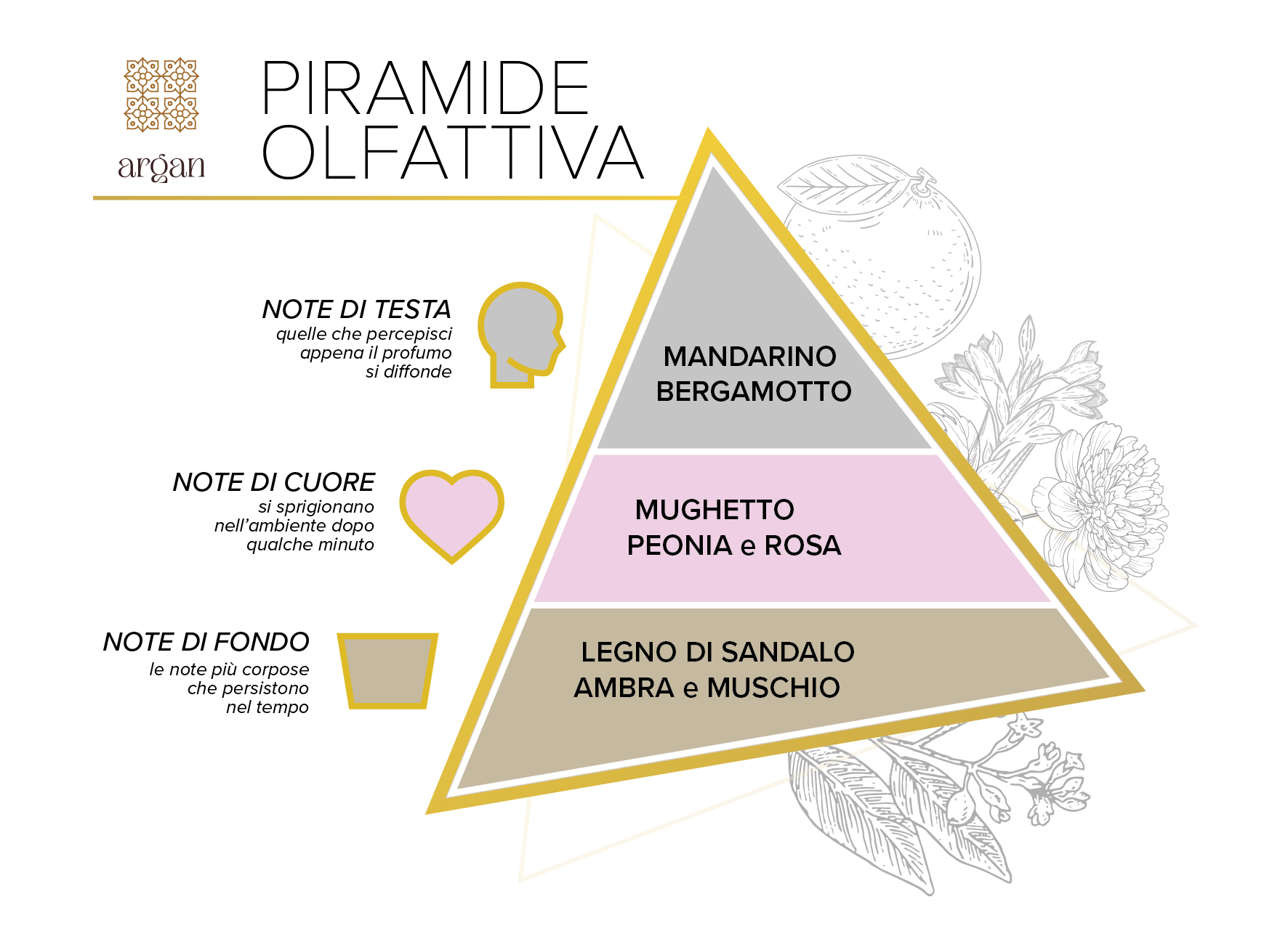 Piramide_Argan