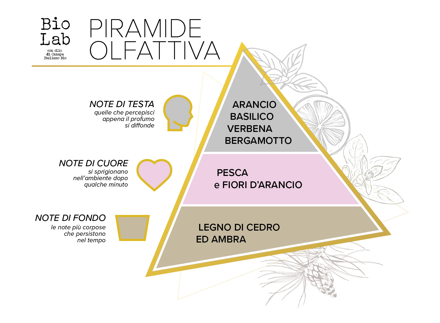 Piramide_BioLab