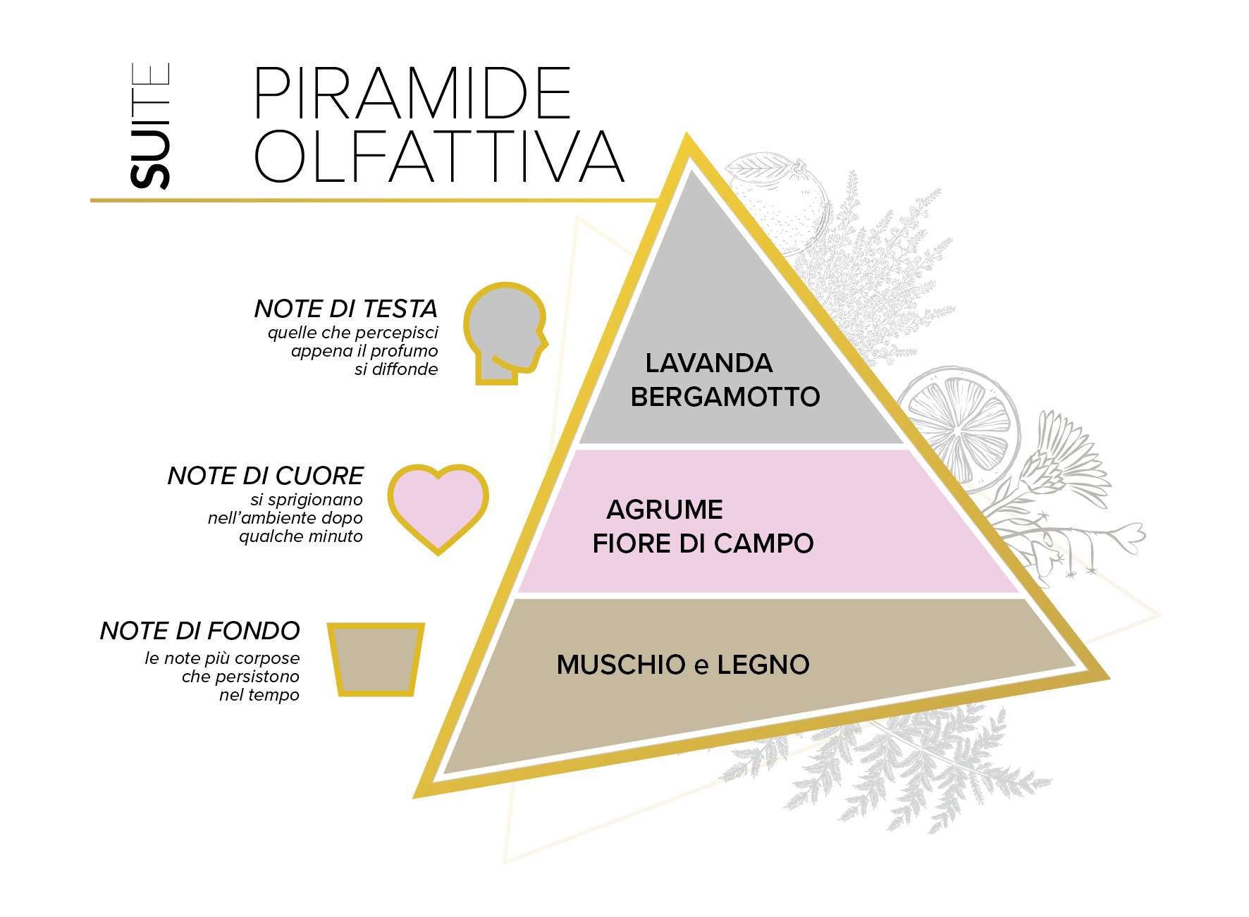 Piramide_Suite