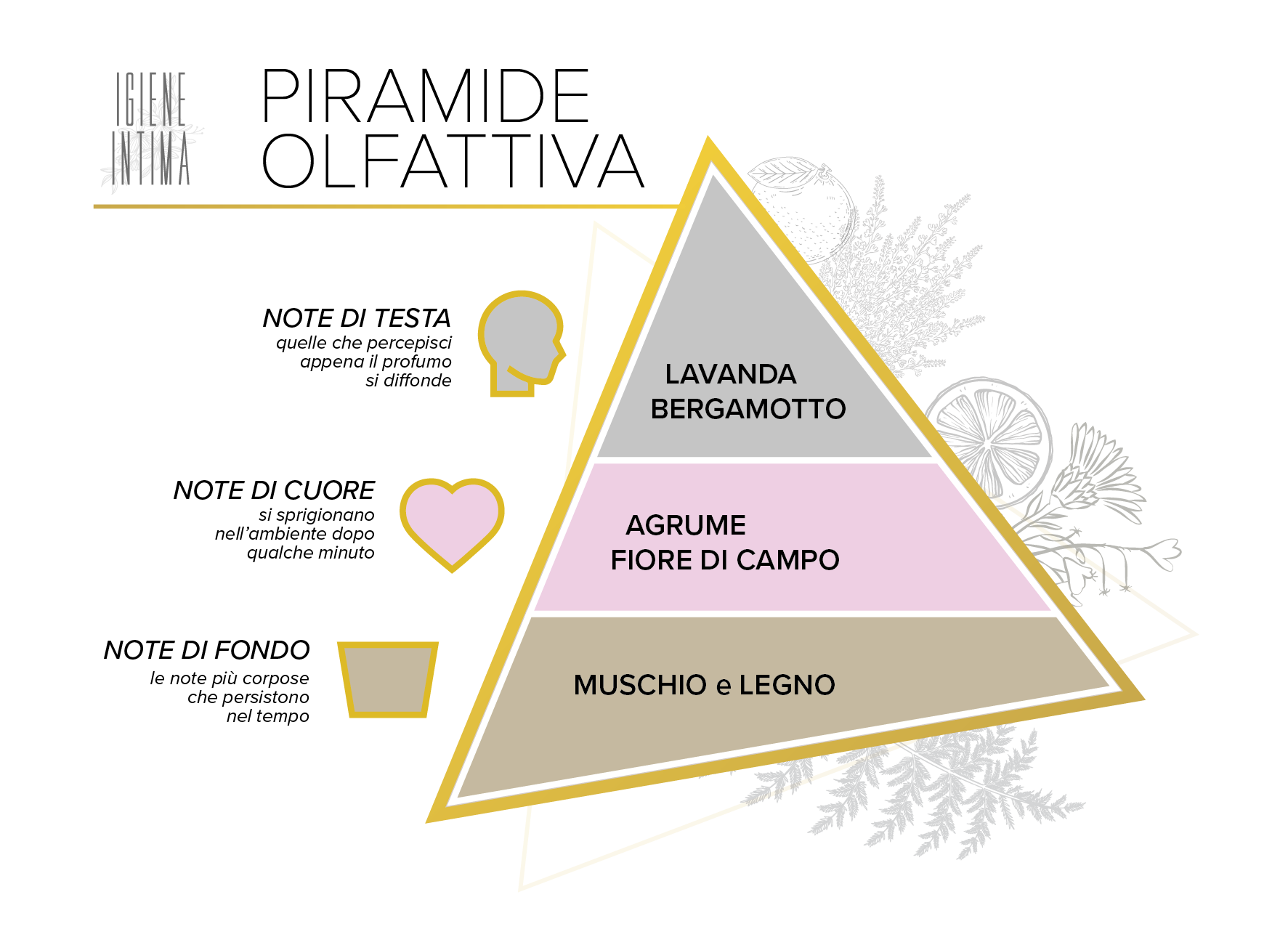 Piramide_Igiene
